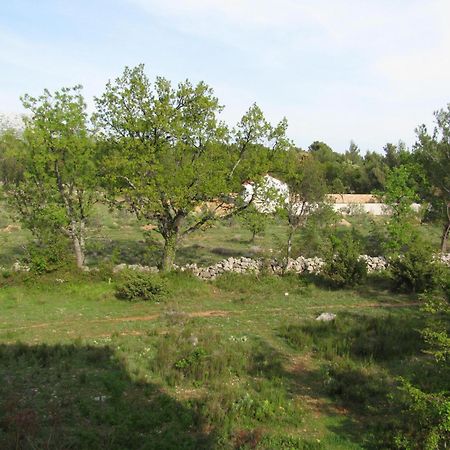 Paklina Apartments Starigrad Paklenica Dış mekan fotoğraf