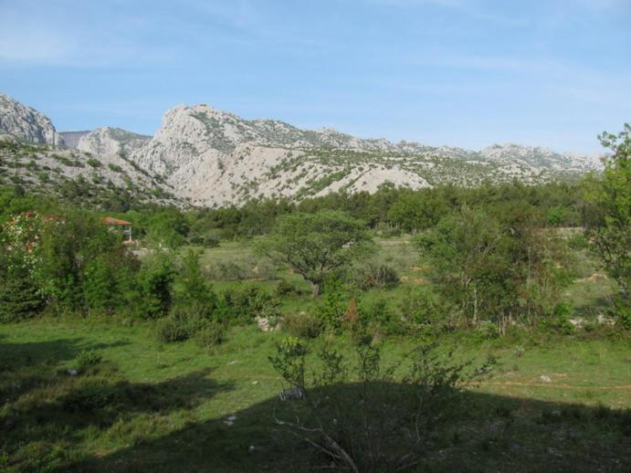 Paklina Apartments Starigrad Paklenica Dış mekan fotoğraf