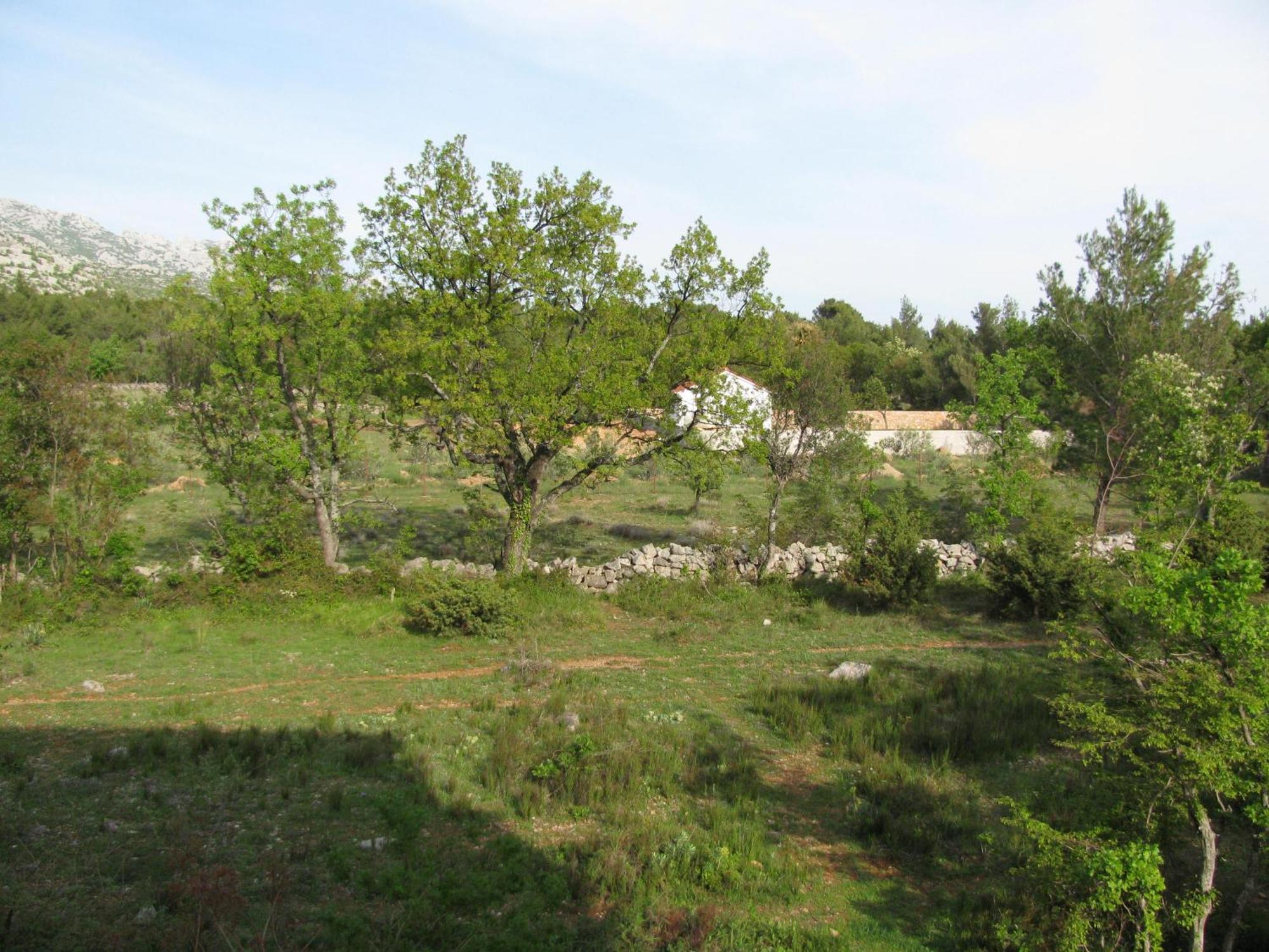Paklina Apartments Starigrad Paklenica Dış mekan fotoğraf